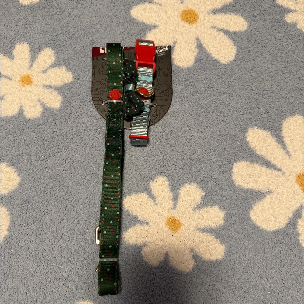 Stylish Green and Red Dog collar and leash set